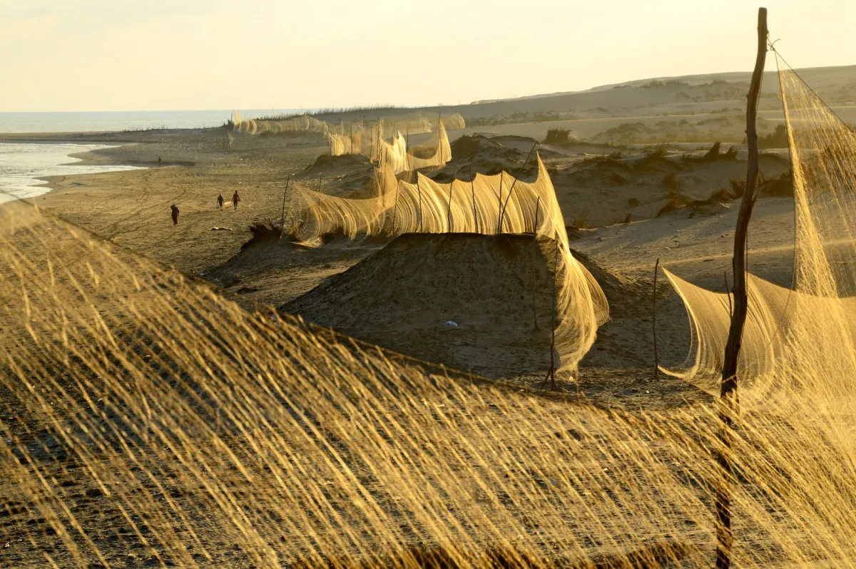 Bird-Trapping-in-Egypt-and-Libya