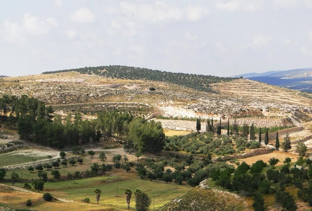 上图：基伊拉遗址。