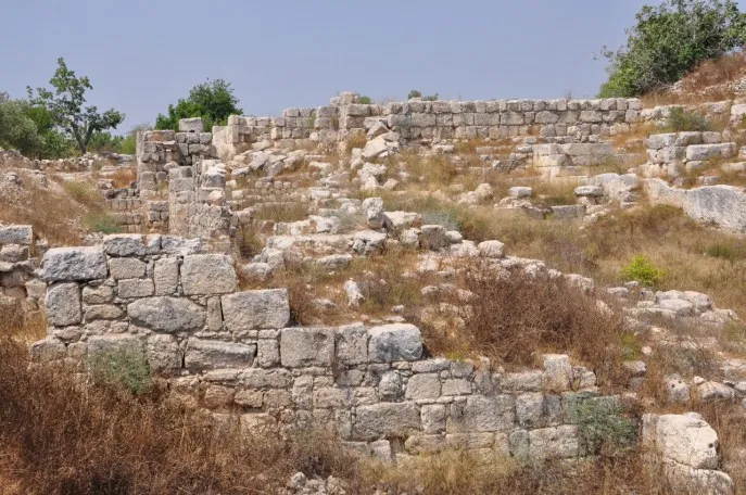 上图:撒马利亚卫城挖掘出来的白色王宫遗址,可能就是亚哈所「修造的象牙宫」(王上二十二39),于主前721年被亚述摧毁。城墙厚约五英尺,用当时最上等的工艺筑成。亚哈王进一步加强城防设施,加建了厚度超过三十英尺的夹壁城墙。