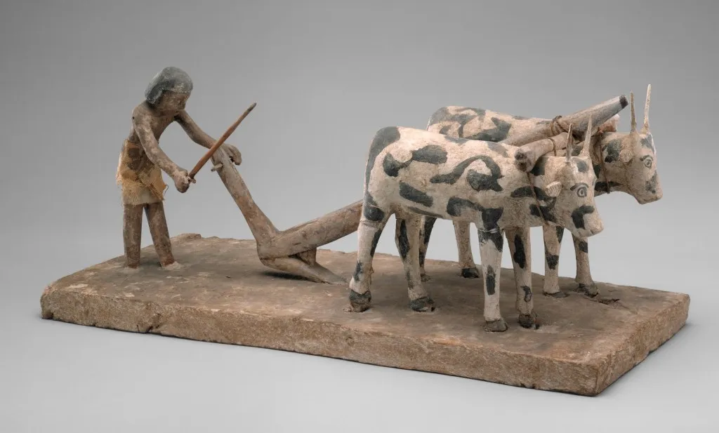 上图：古埃及第十二王朝时期（主前1981-1885年）的木雕，描绘一个耕地的农夫，牛背上负着轭，现藏于大都会博物馆。「轭」指加在牛后颈上的横木，用来驱使牲畜，比喻以色列人在埃及为奴时背负重担，有如负轭的牛。