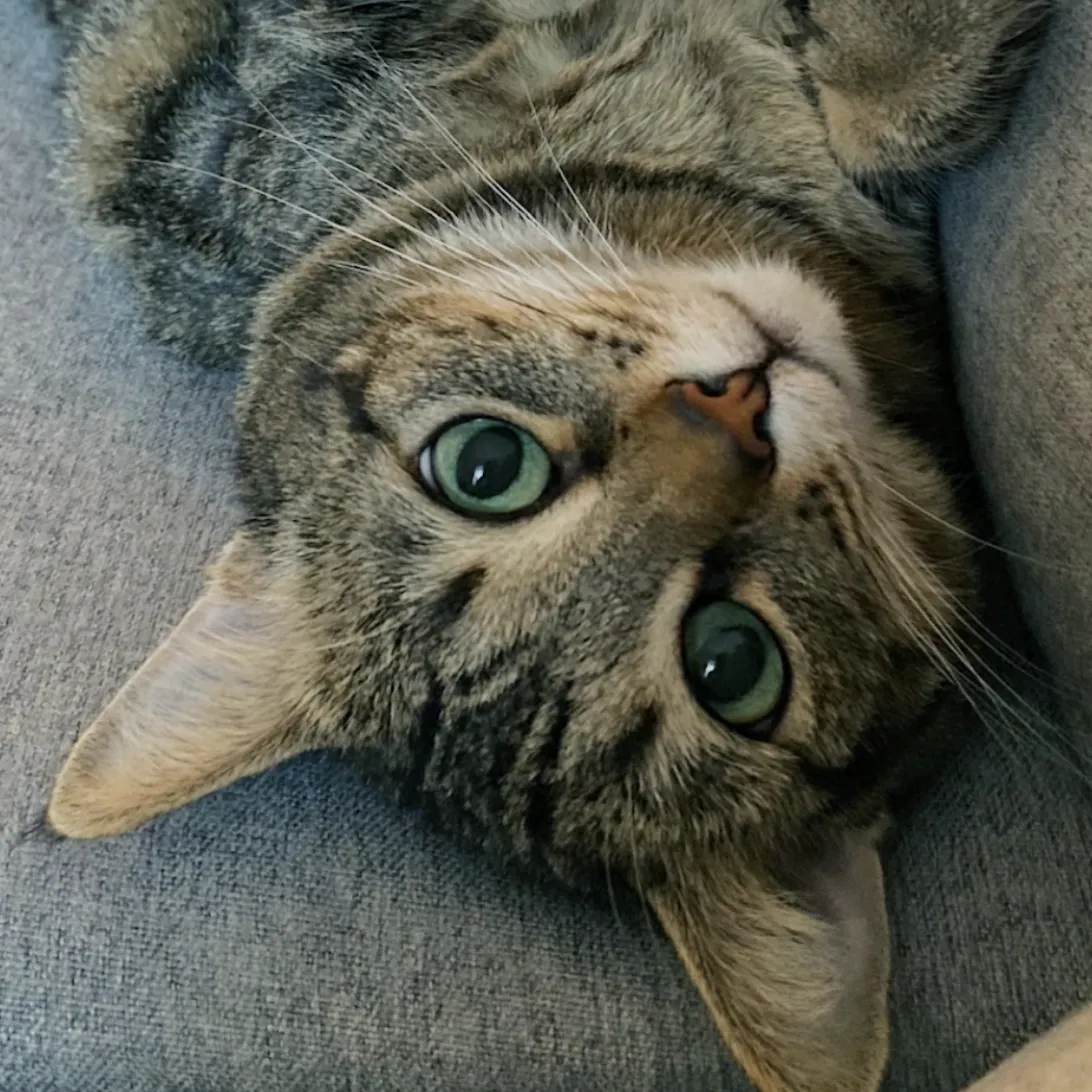 Arya