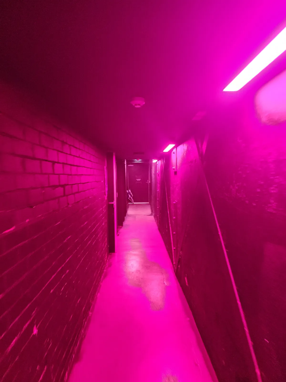20250320_184744
