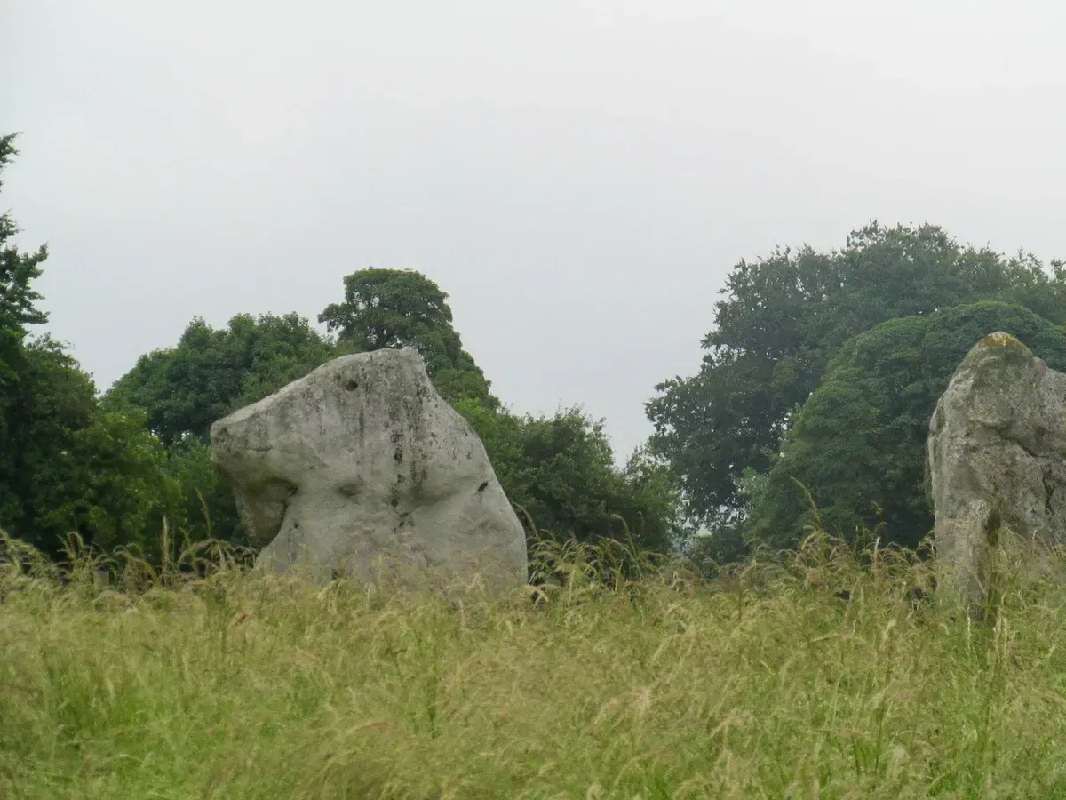 4cn0pzeftrz5iwc1b1v41xrf3b2e