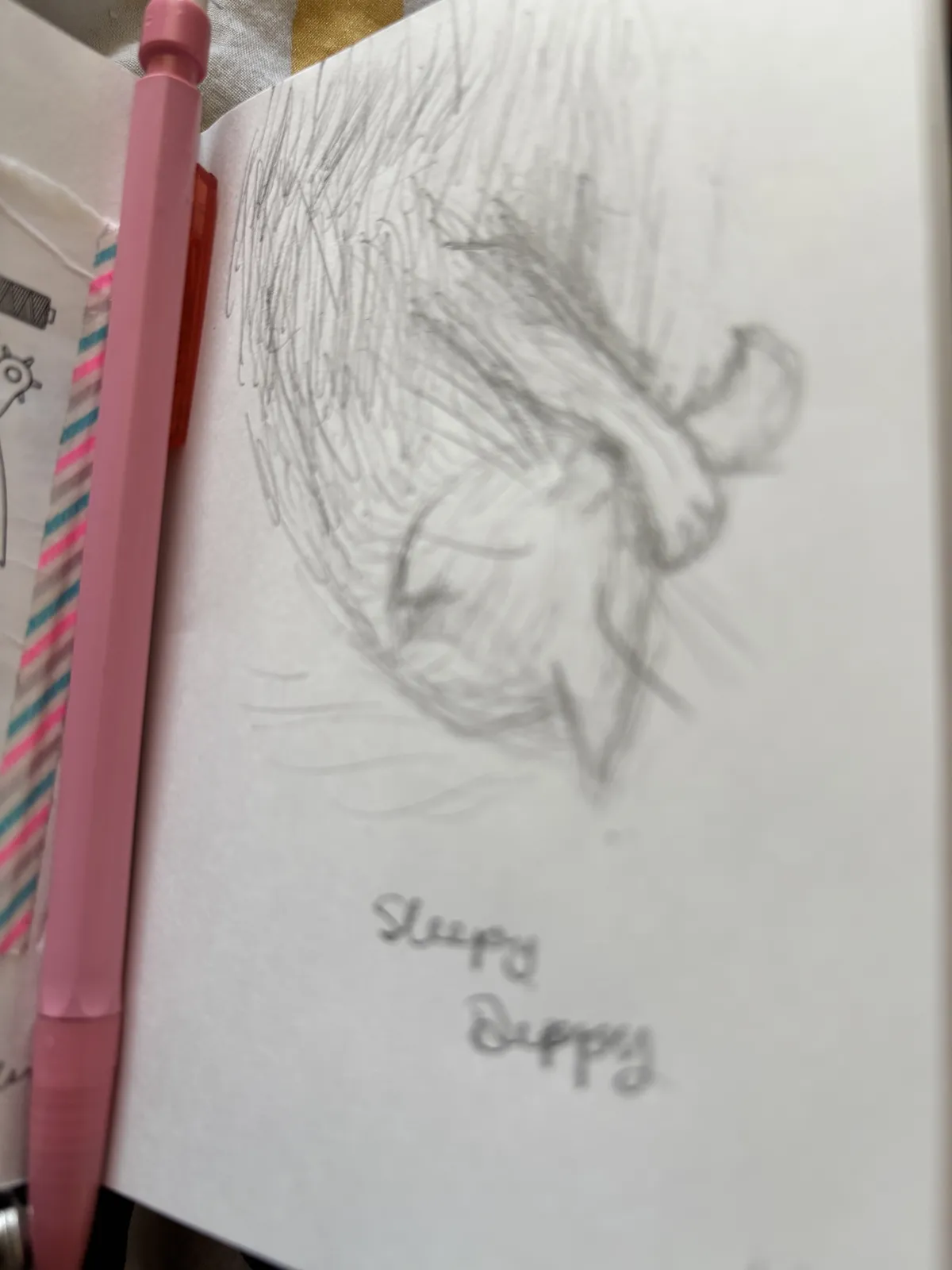 a quick doodle of my cat in my art journal