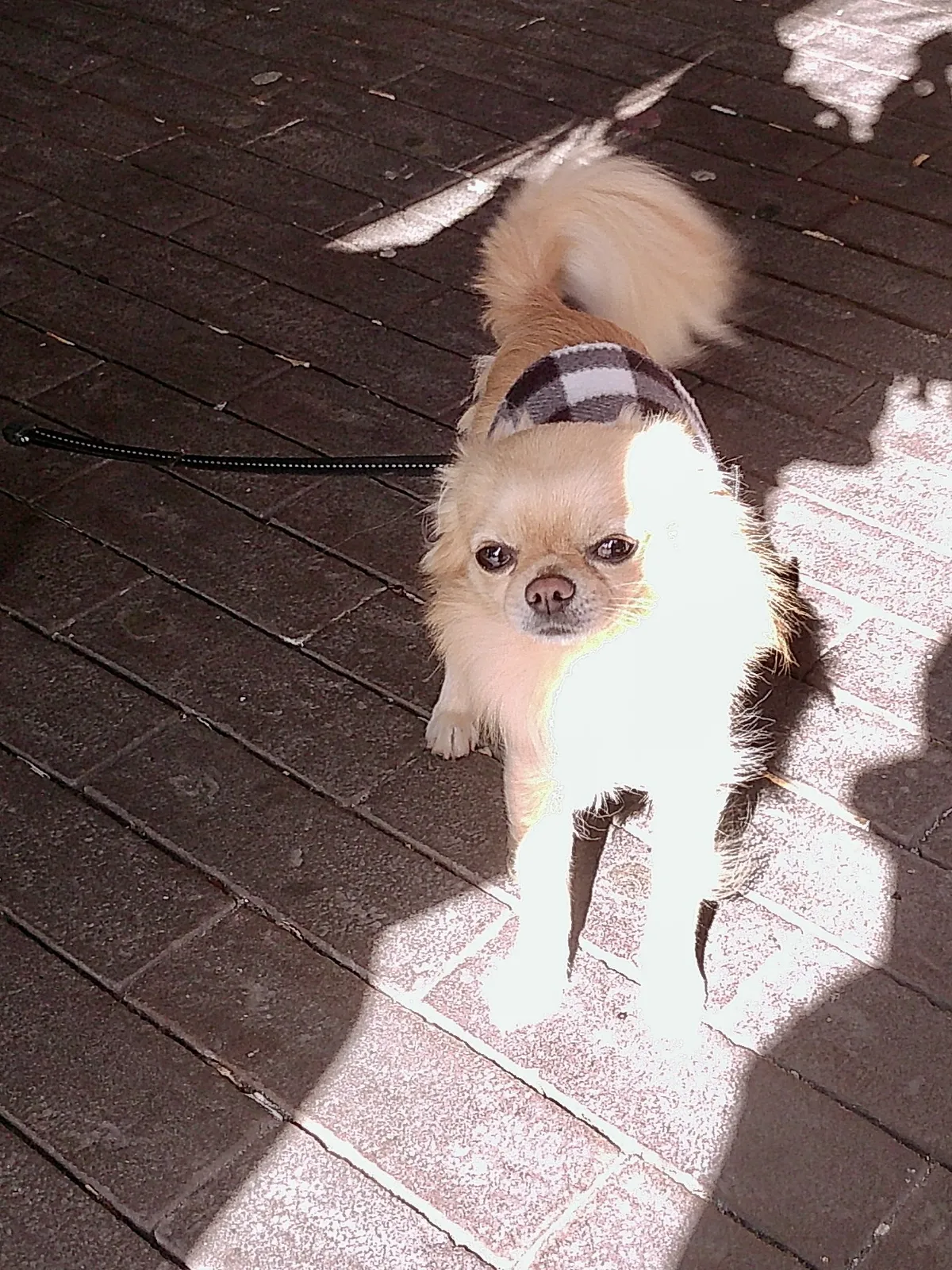 i80f5azrqo4cukhs7mx97l8iuwja