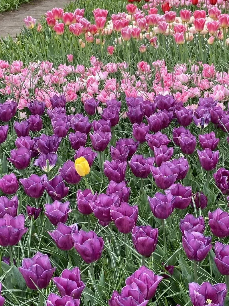 mo5t4hq6u1he8iuw1mxk2wjebjxv