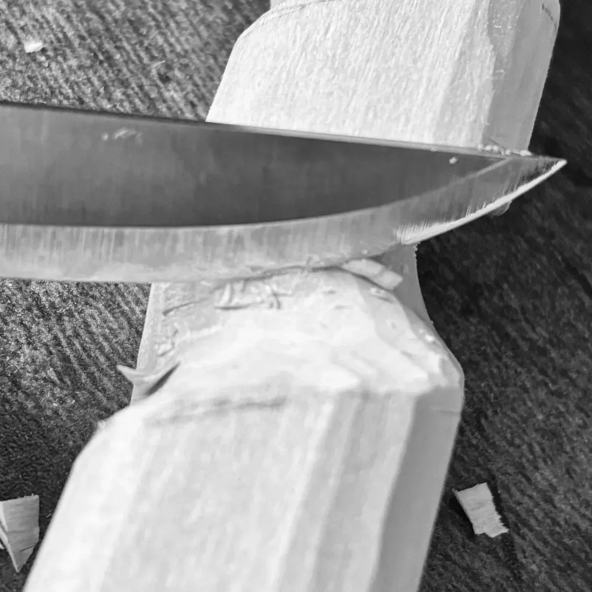 q879c2utnekoku3cnkmjthd9nkr2