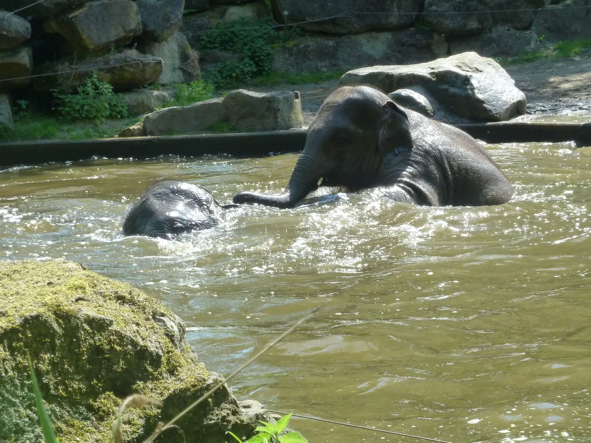 rzqu334flb5irvyfo9gxjyvqdz37