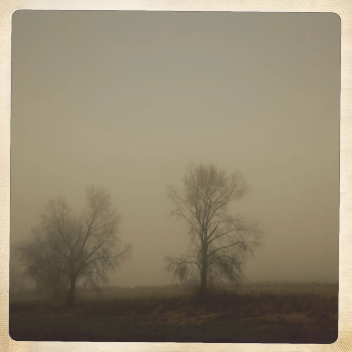 wui47rnukgkobavkkjt9r7g6dd6y