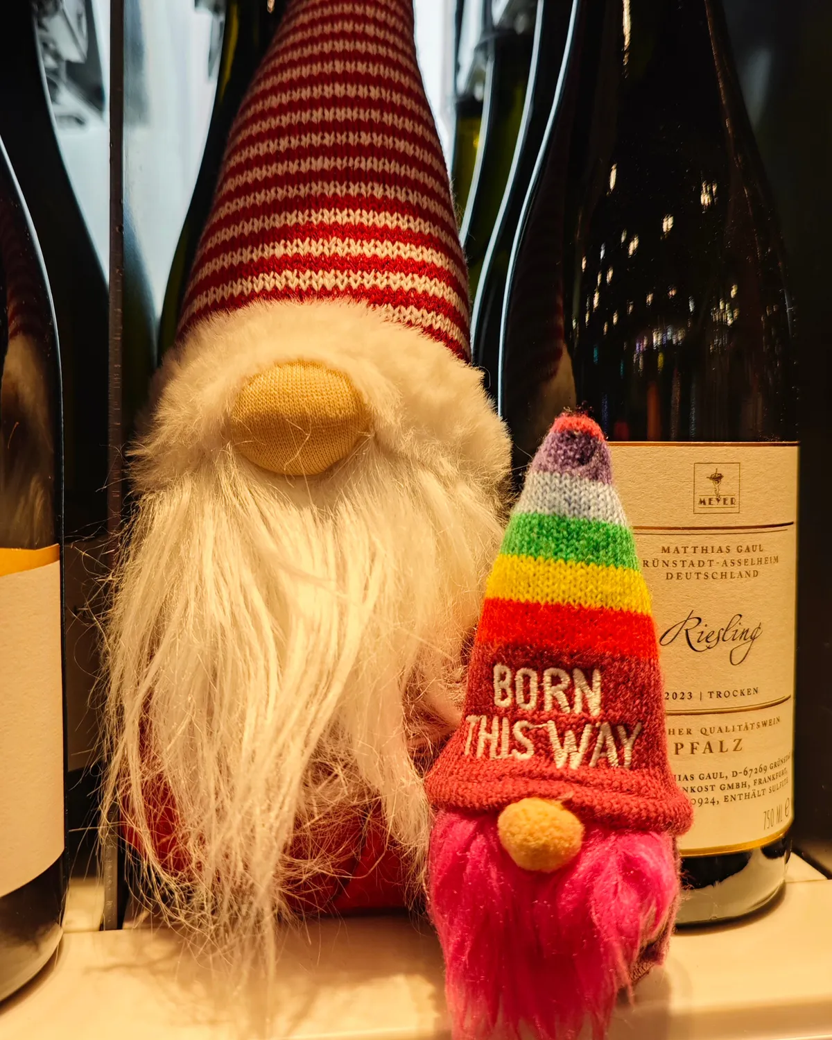 InShot_20251130_004104502