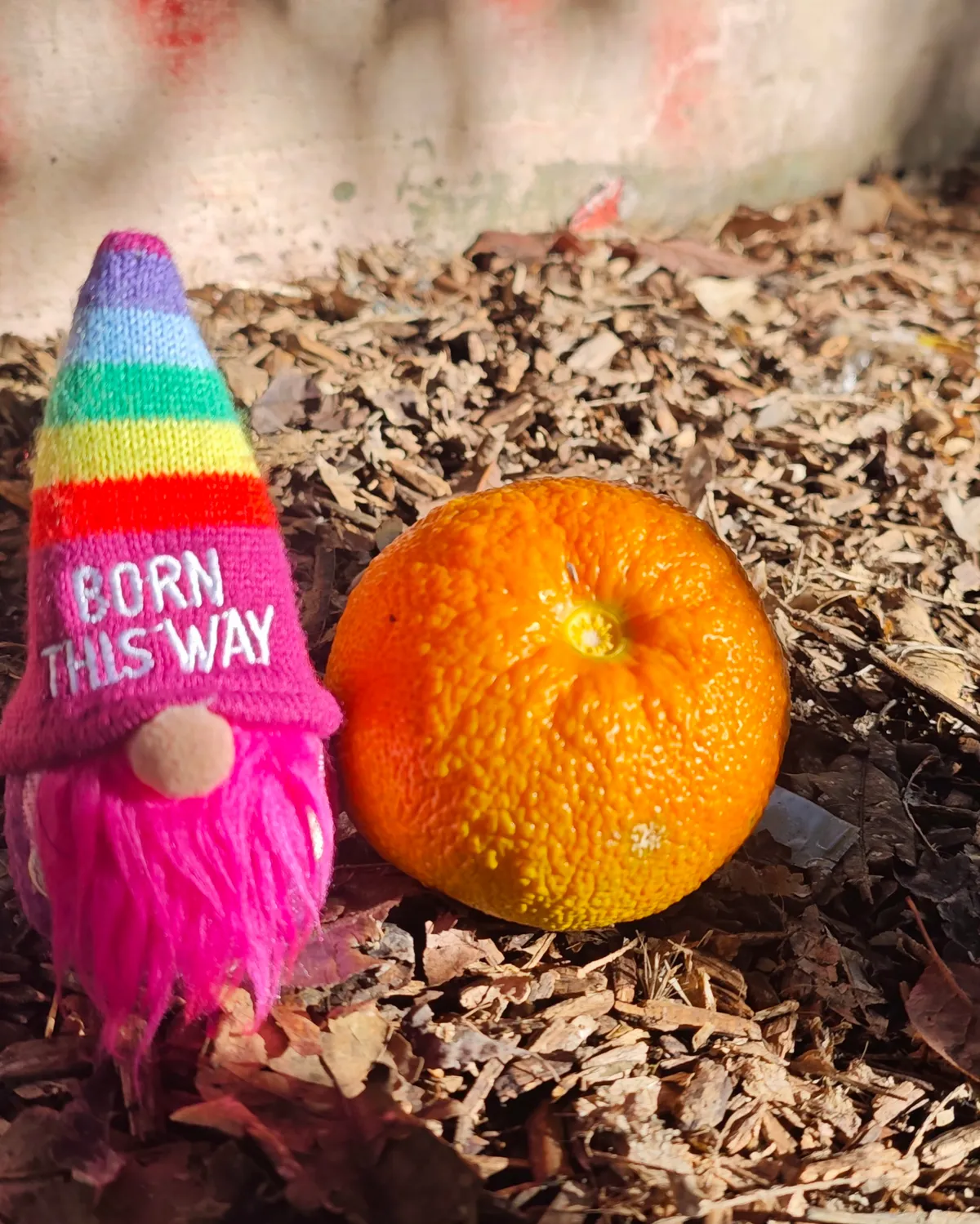 InShot_20251130_201614616