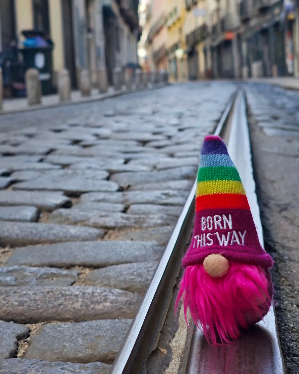 InShot_20251130_201819794