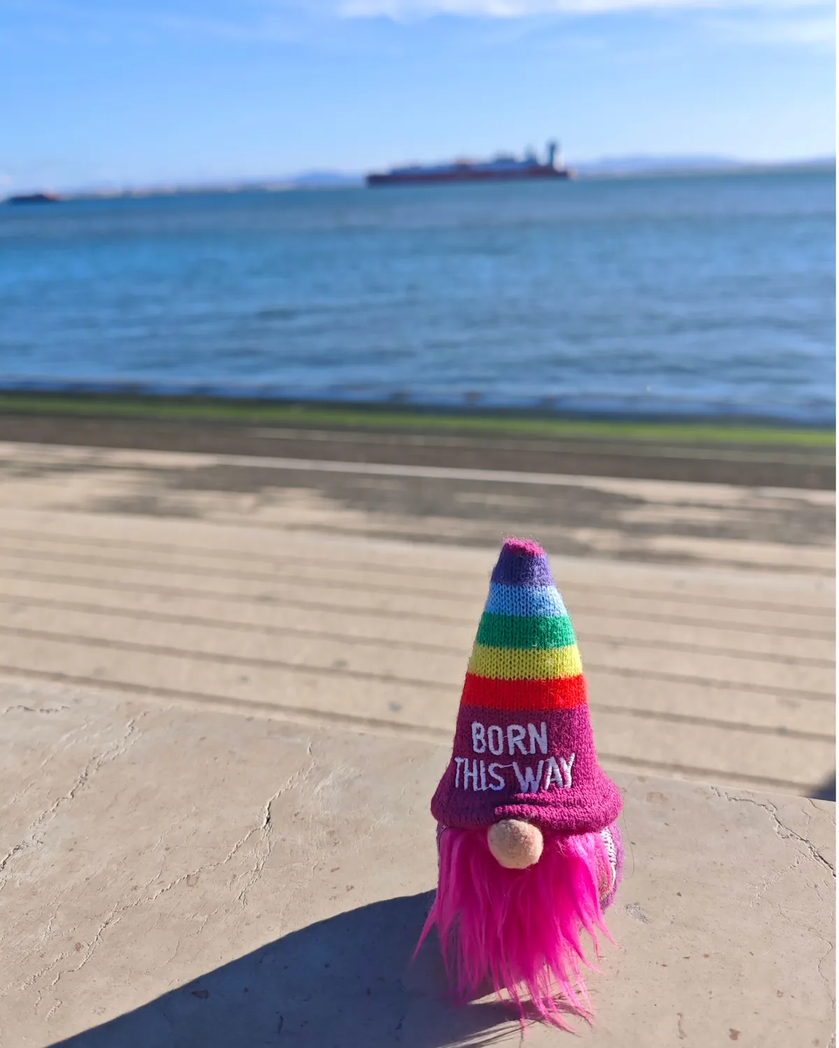 InShot_20251130_202110777