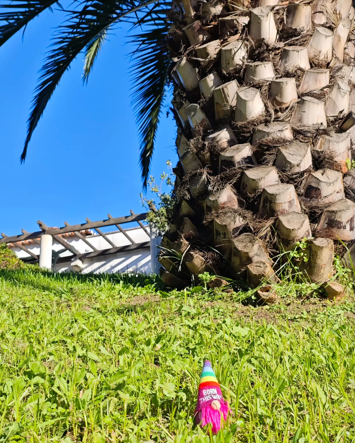 InShot_20251130_202204014