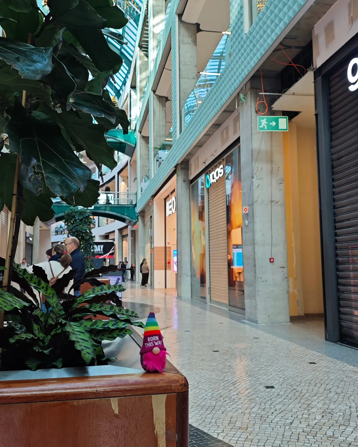 InShot_20251201_194025068