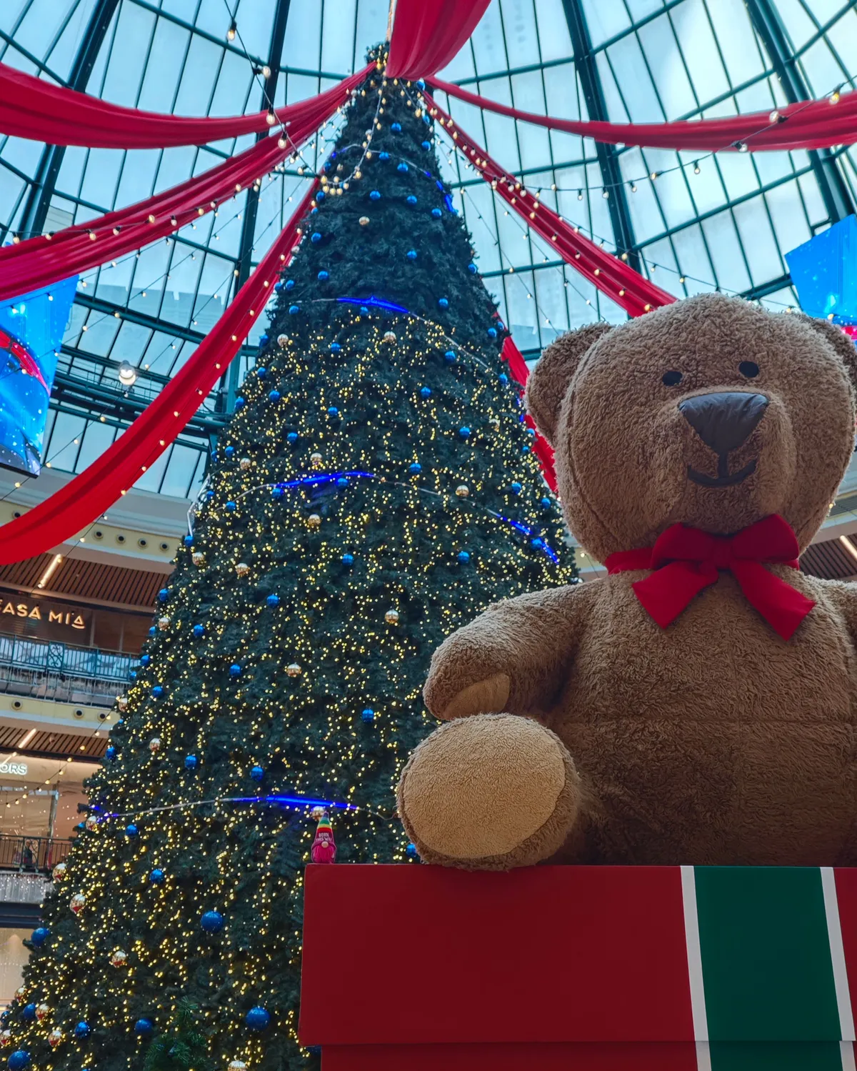 InShot_20251201_194053148