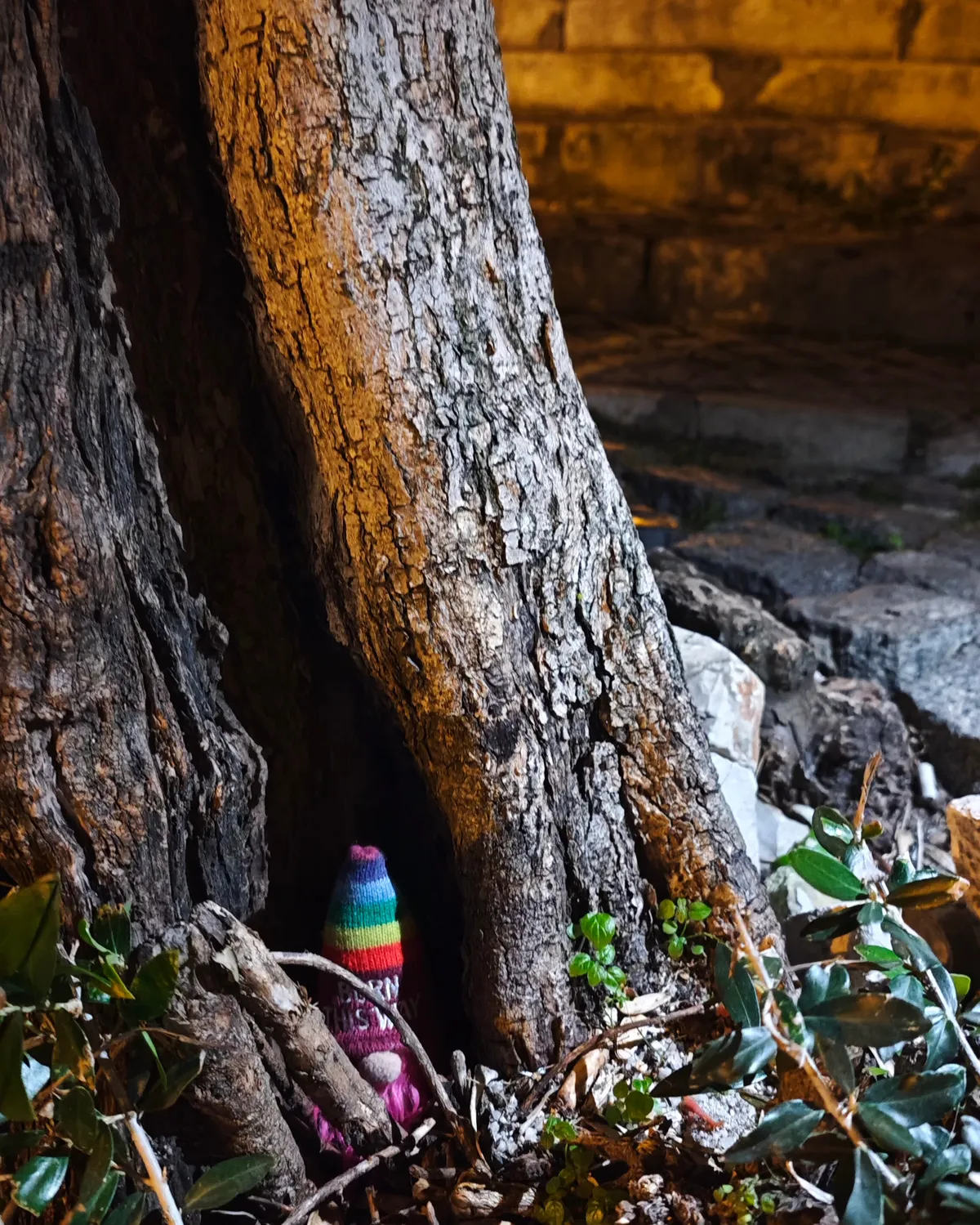 InShot_20251201_200034585