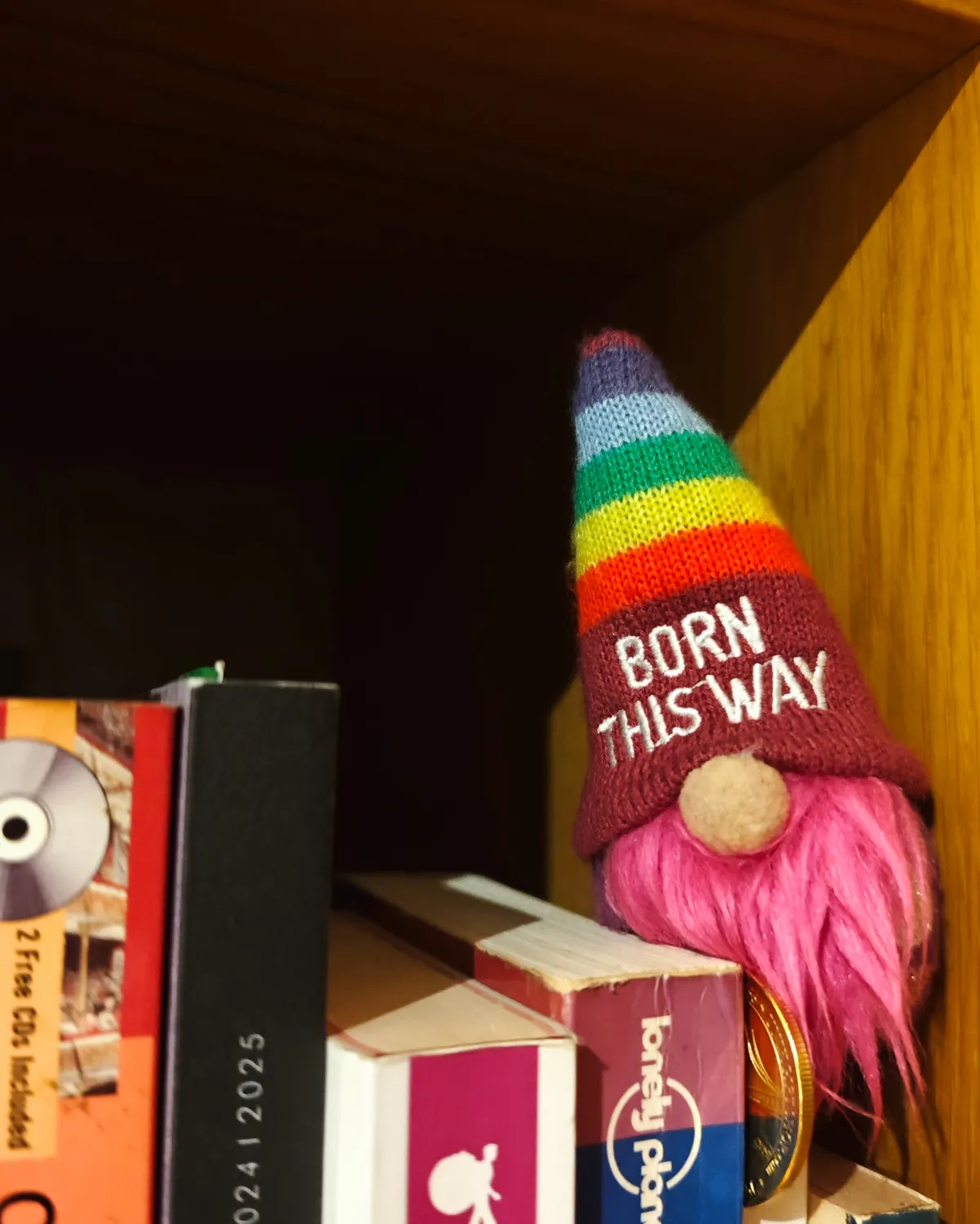 InShot_20251201_213328949