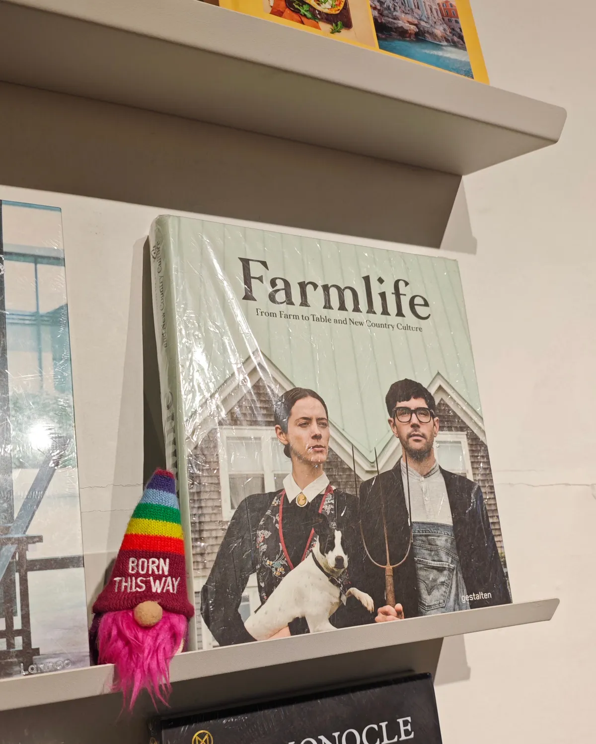 InShot_20251202_191126886