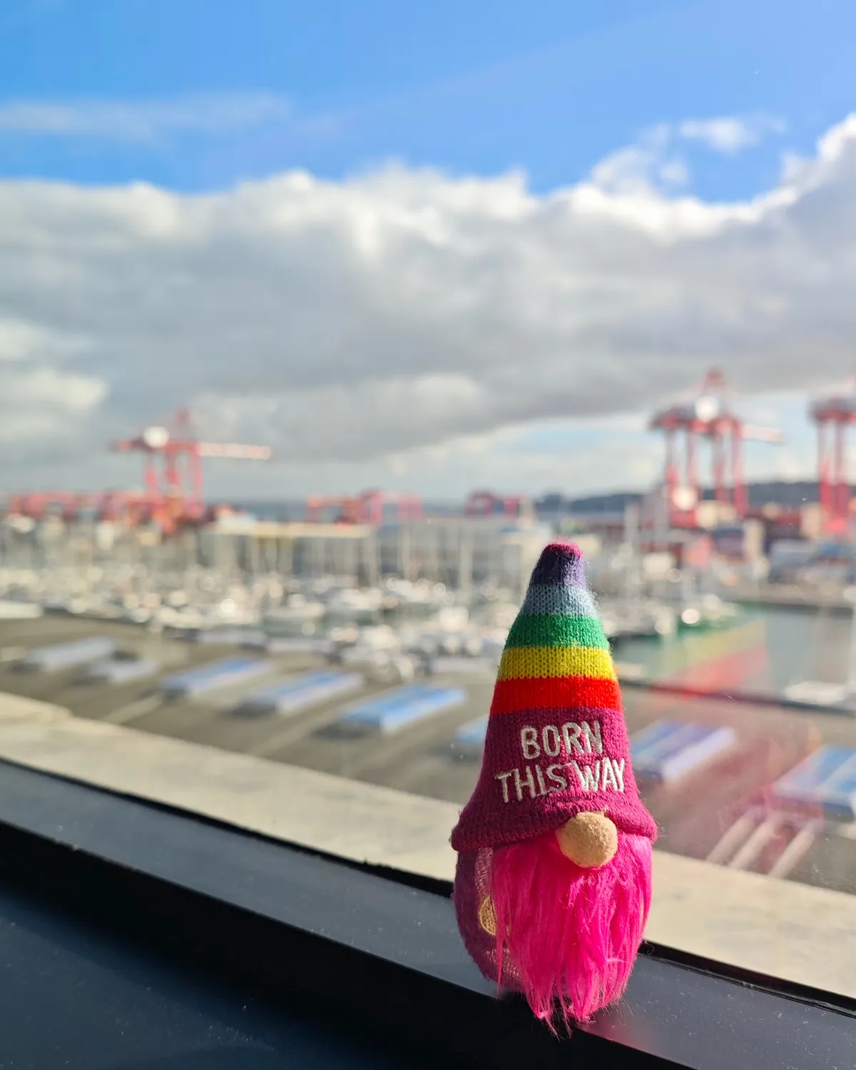 InShot_20251202_191200310