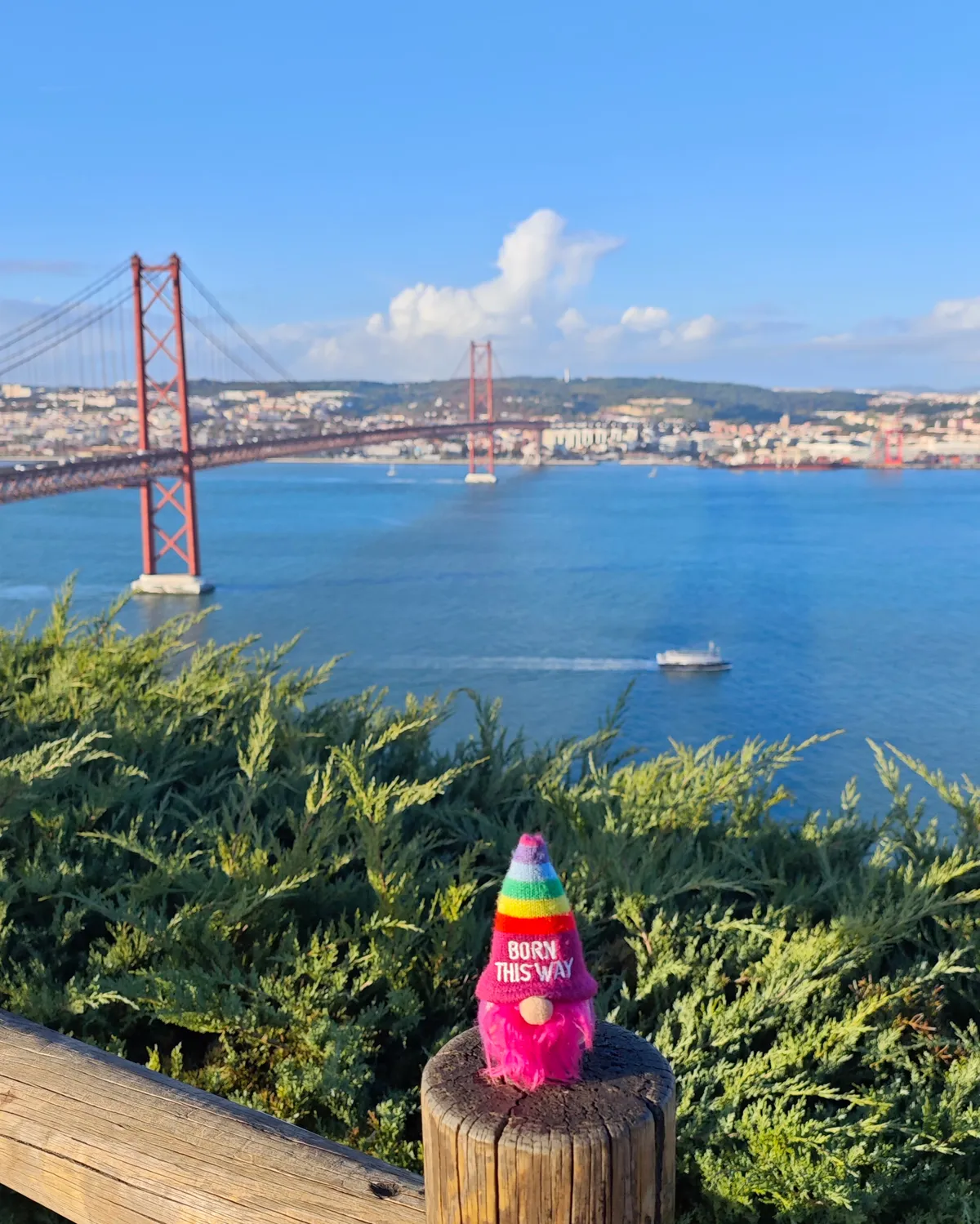 InShot_20251202_191401398