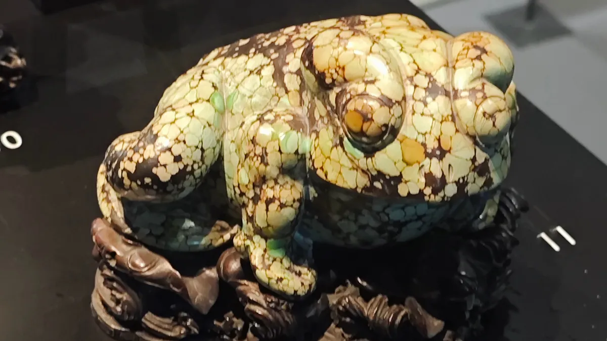 InShot_20251202_191516655