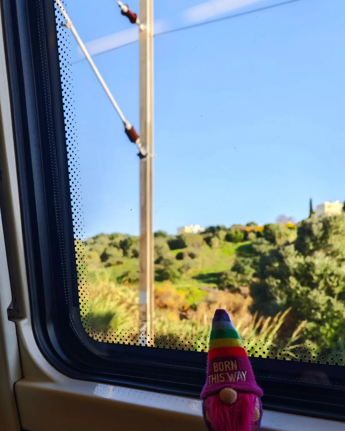 InShot_20251203_155846926