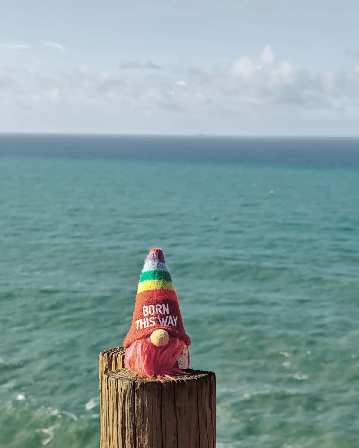 InShot_20251203_155920565