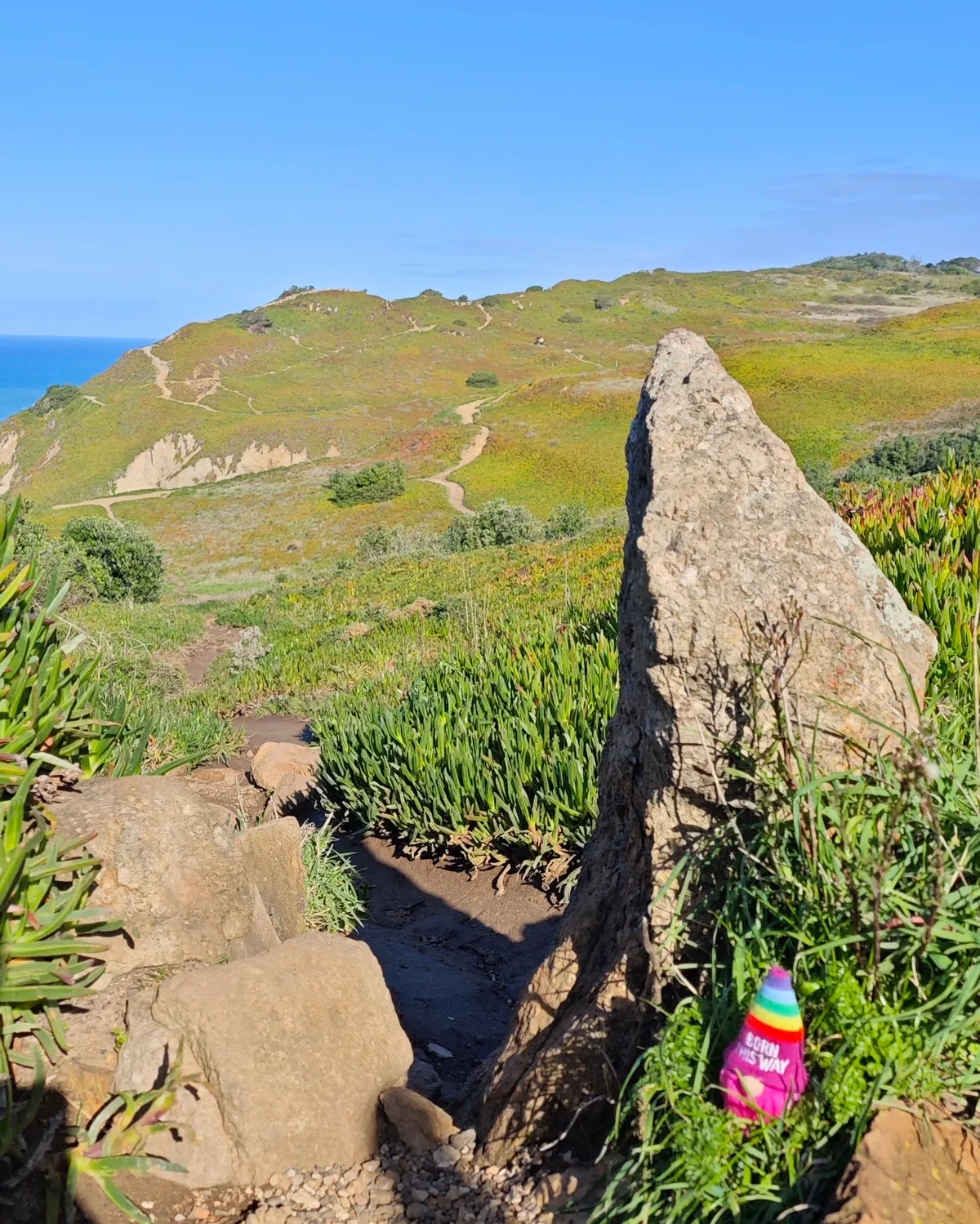 InShot_20251203_155953007