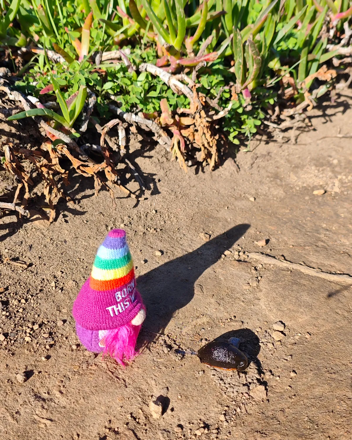 InShot_20251203_160057673