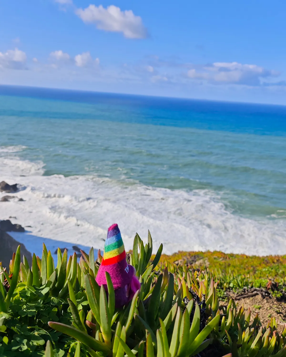 InShot_20251203_160113067