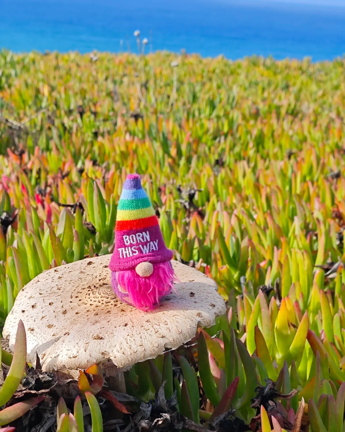 InShot_20251203_160203723