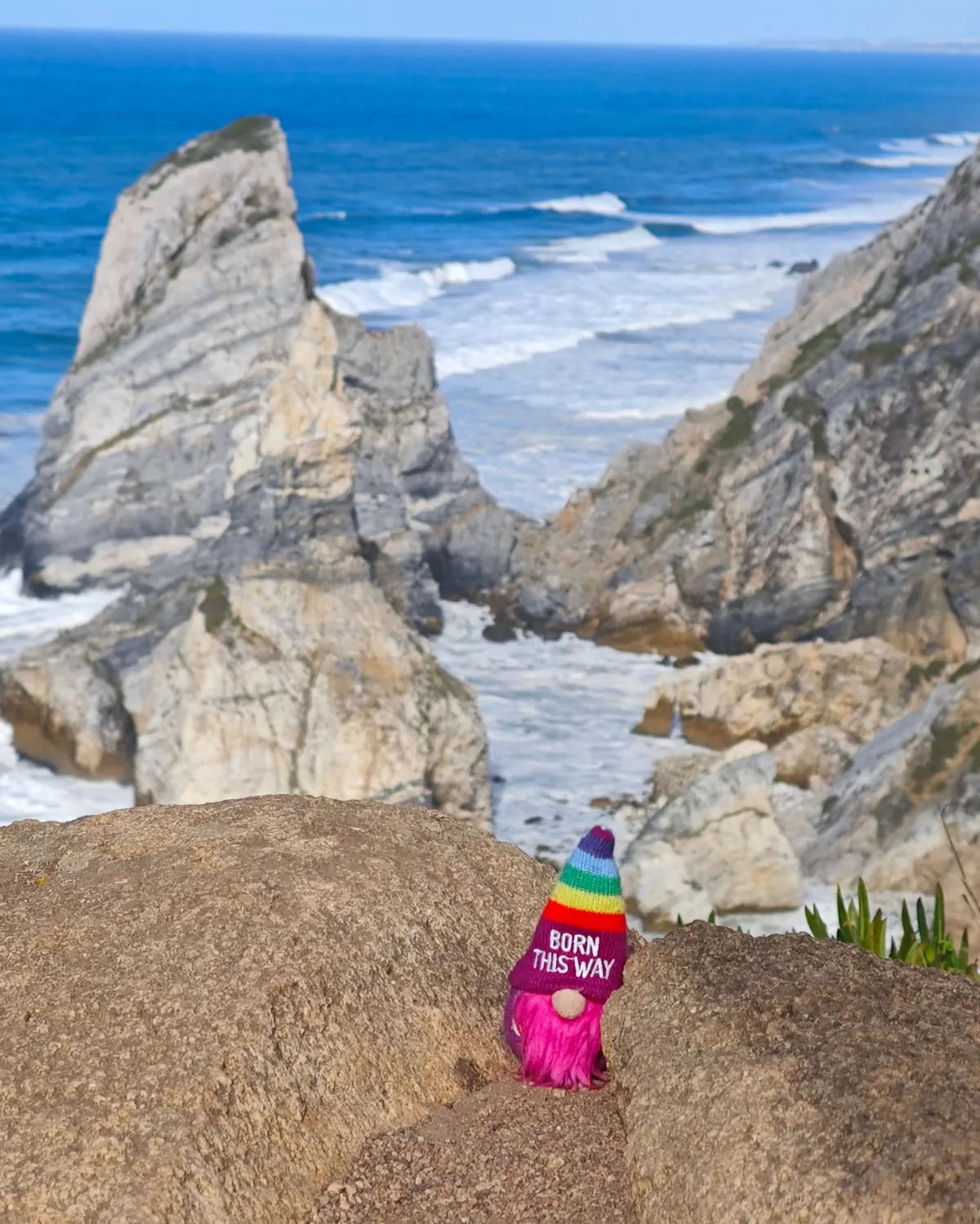 InShot_20251203_160222882