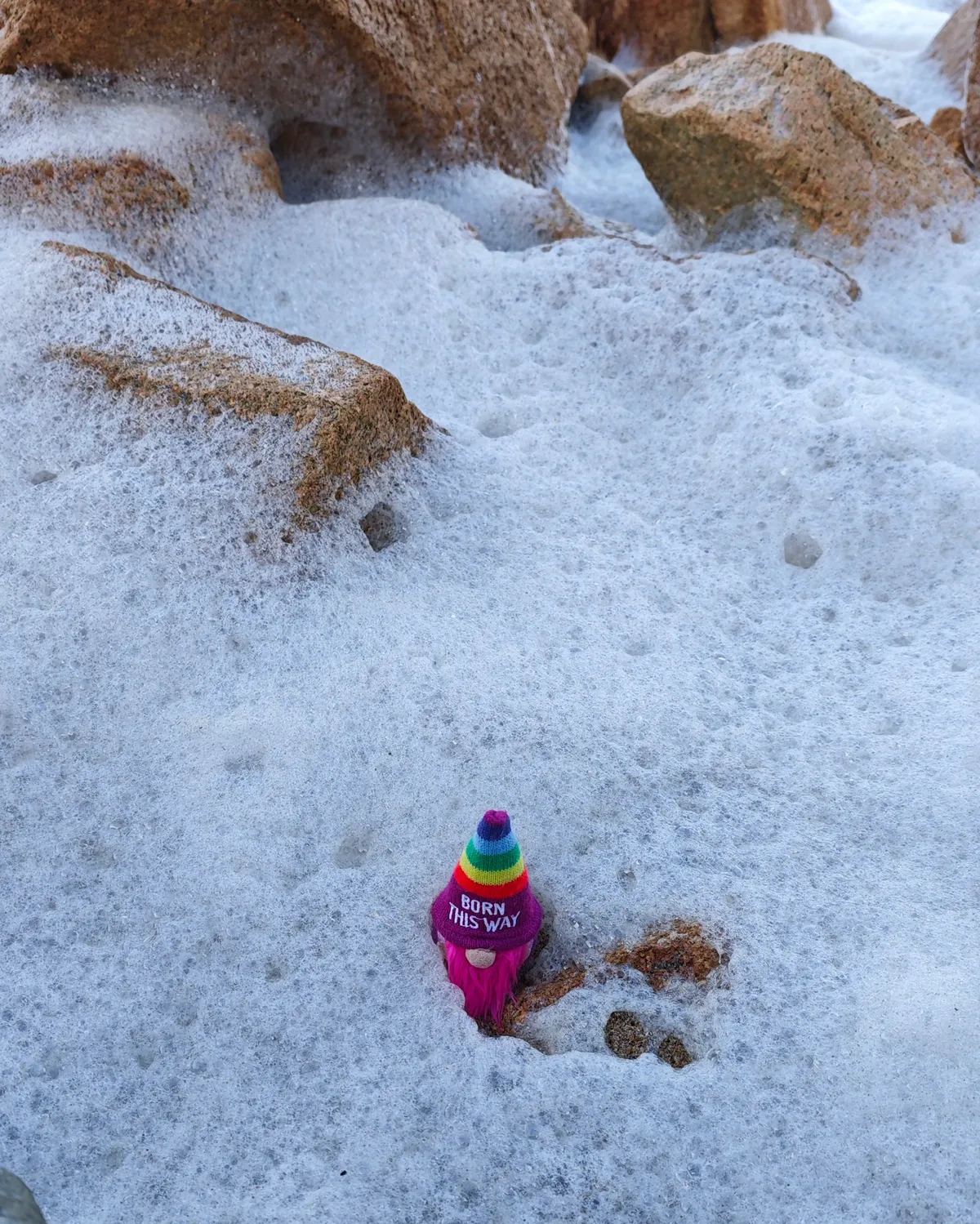 InShot_20251203_160259371