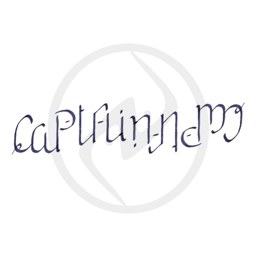 Captain Nemo Ambigram nakul bhalla douglas hofstadter godel escher bach
