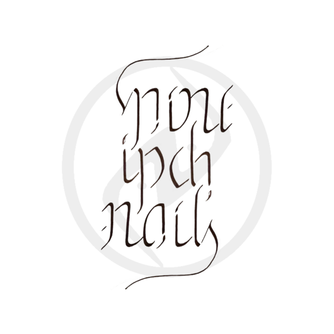 Nine Inch Nails Ambigram nakul bhalla douglas hofstadter godel escher bach