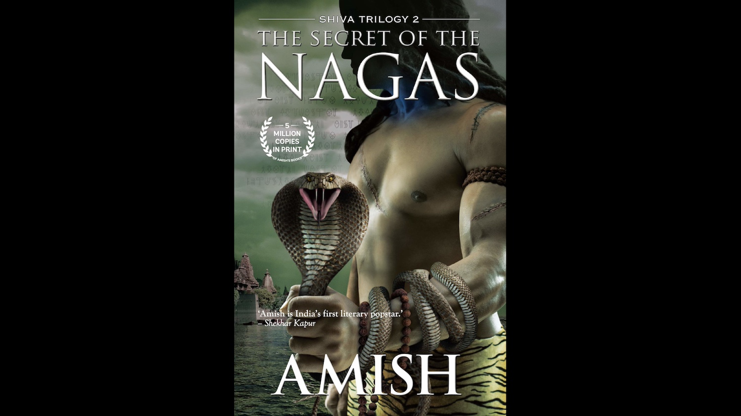 The Secret of the Nagas book cover