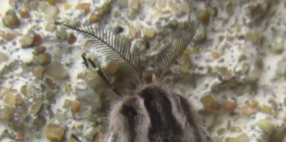 Screenshot 2026-03-05 1