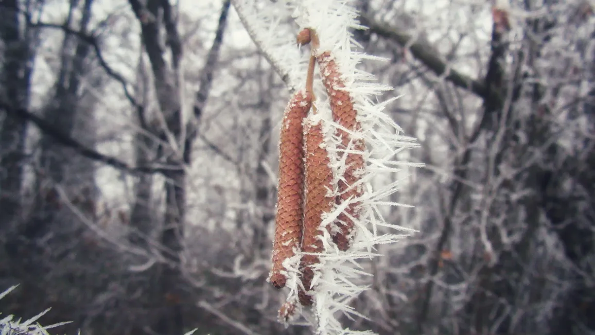 Screenshot 2026-01-29 14