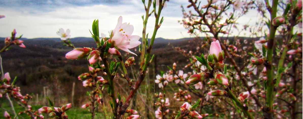 Screenshot 2026-01-29 14