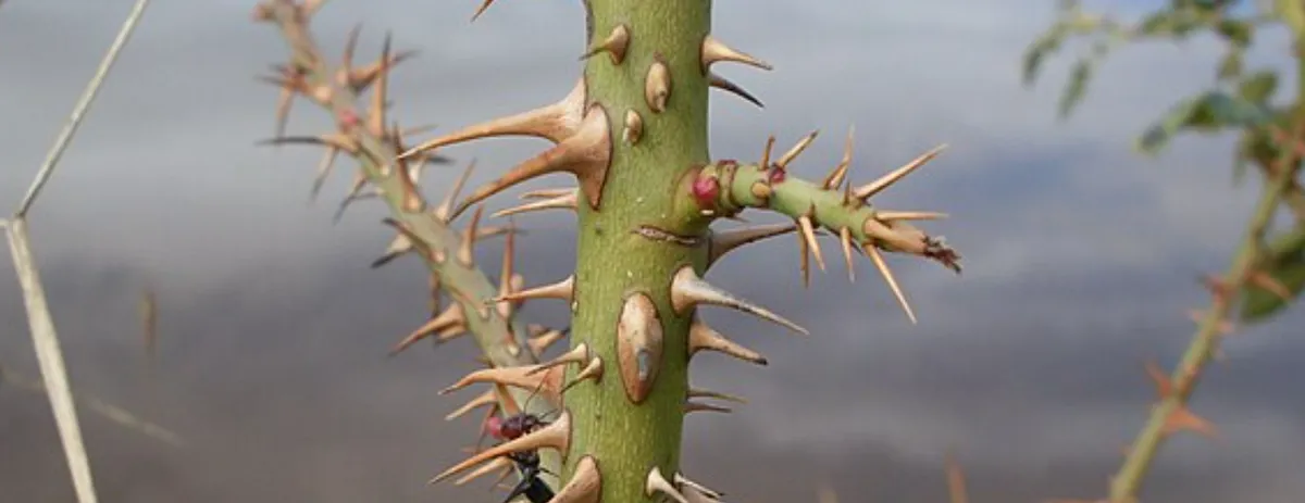 Screenshot 2026-04-11 1