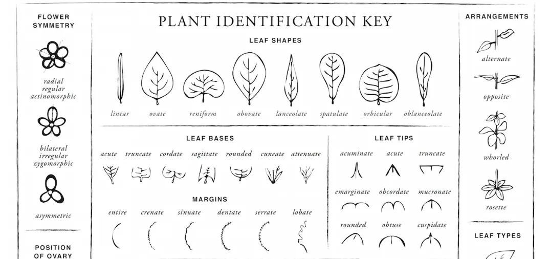 Screenshot 2026-03-01 8