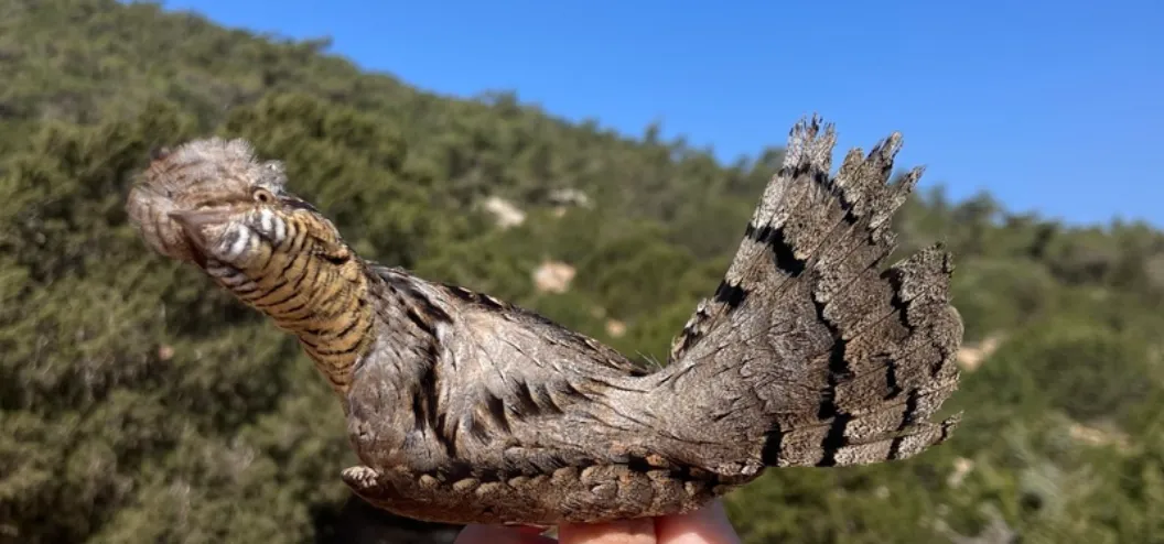 Screenshot 2026-04-09 6