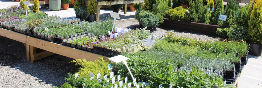 Screenshot 2026-04-14 9