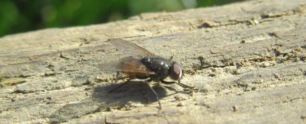 Screenshot 2026-03-14 11