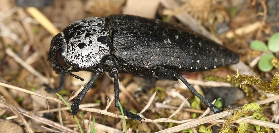 Screenshot 2026-04-18 8