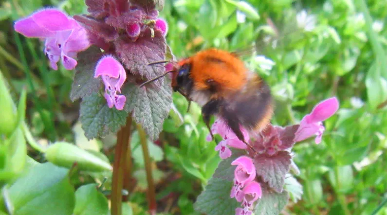 Screenshot 2026-03-22 1