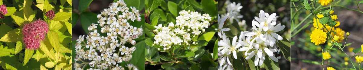 Screenshot 2026-04-11 3