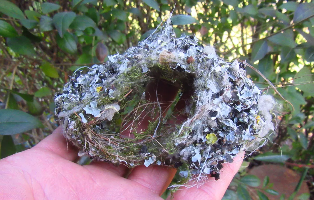 Screenshot 2026-03-07 12