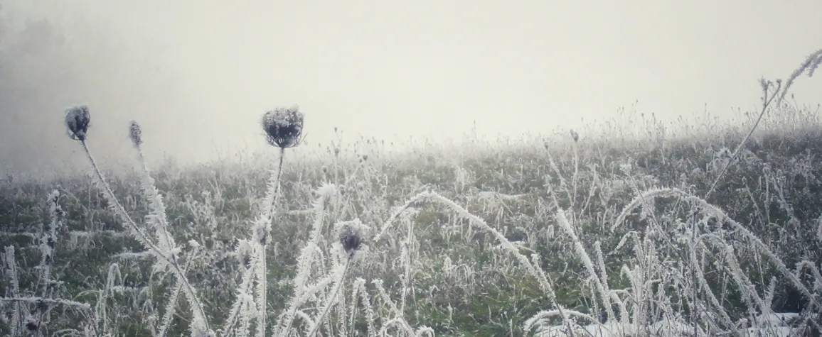 Screenshot 2026-01-29 14